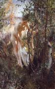 Anders Zorn Unknow work 88 Sweden oil painting reproduction